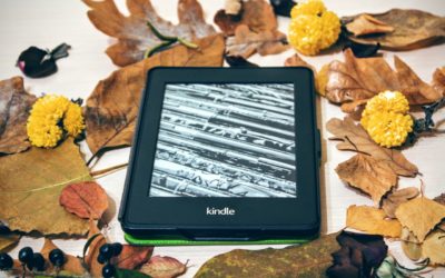 Chronicle #1 I’ve ruined my children with screen time
